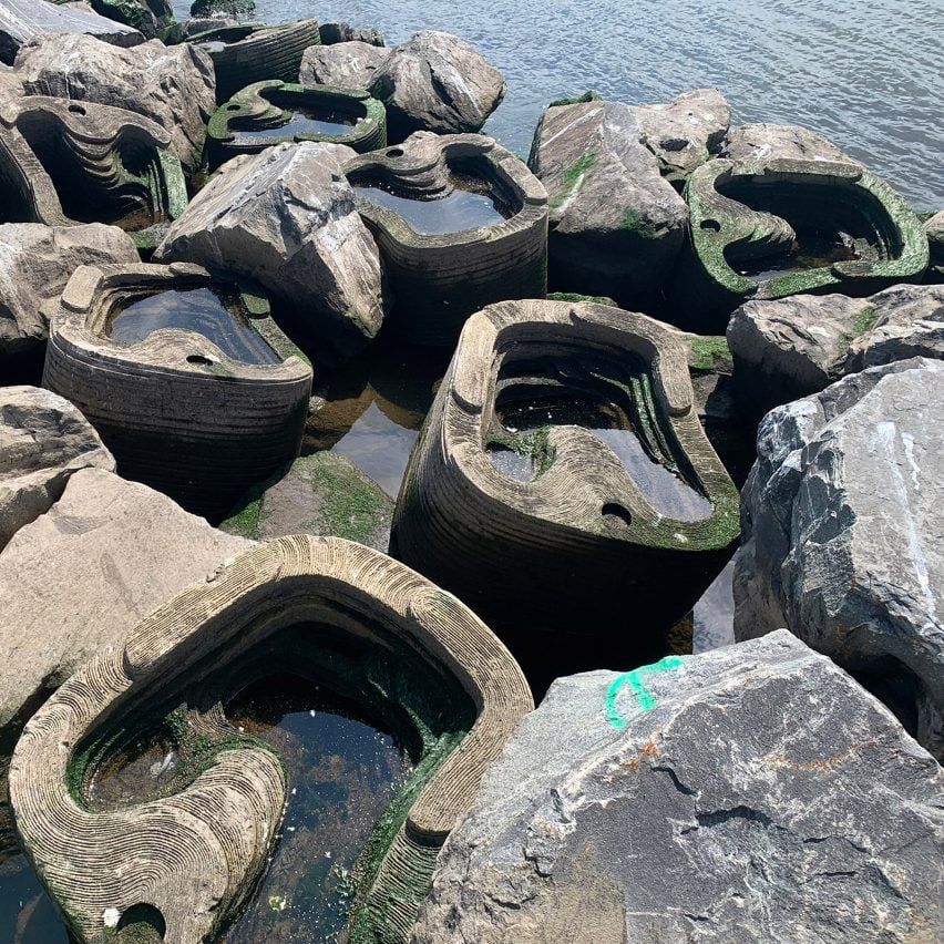 Marine Conservation Team